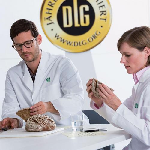 Program Bread Testing Food (1)